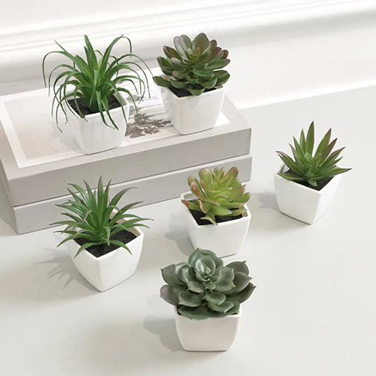 Plantes succulentes en pot simulées pour la décoration de la maison